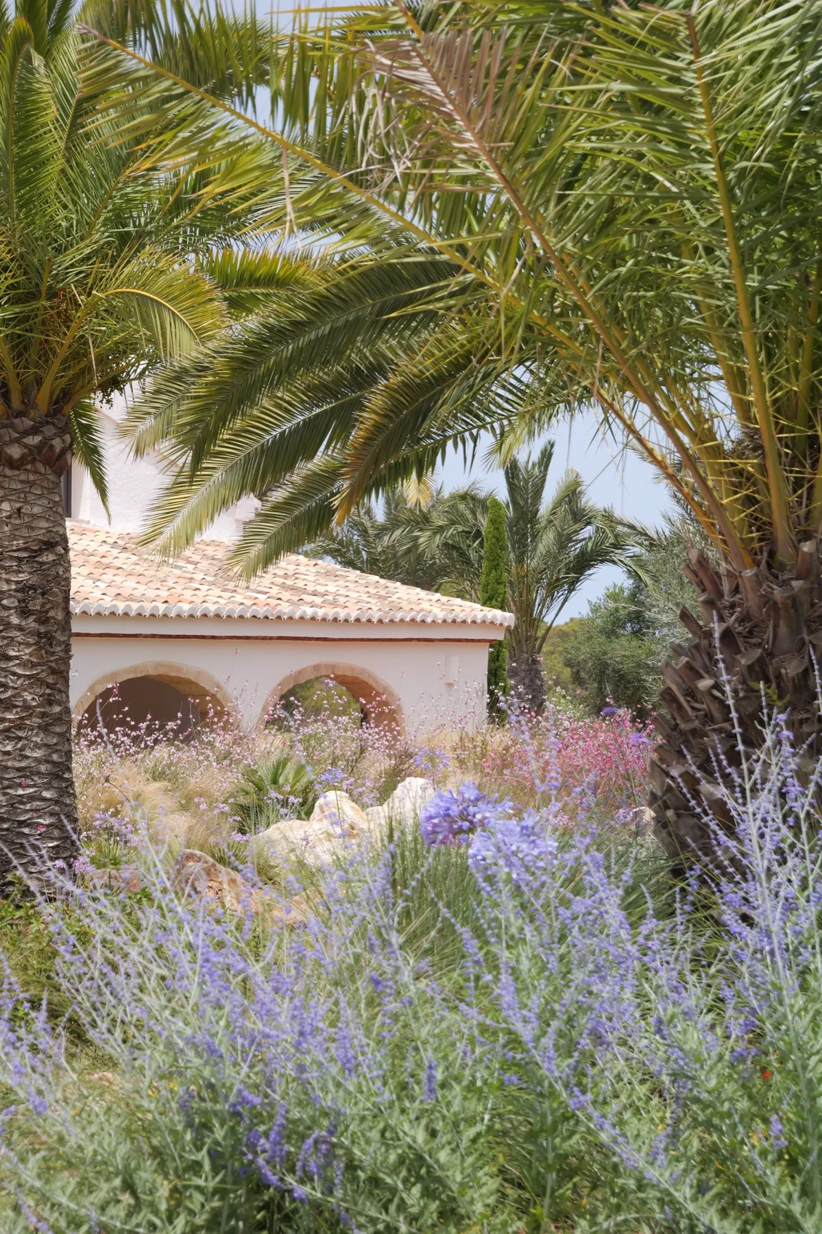 Ca La Masia exterior with palms