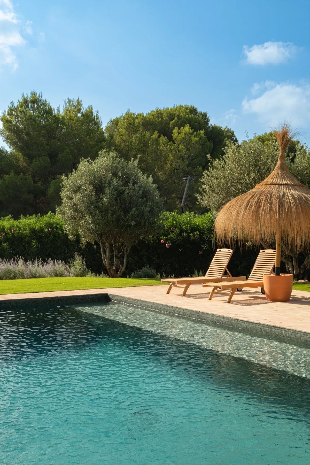 Casa Valls pool and garden
