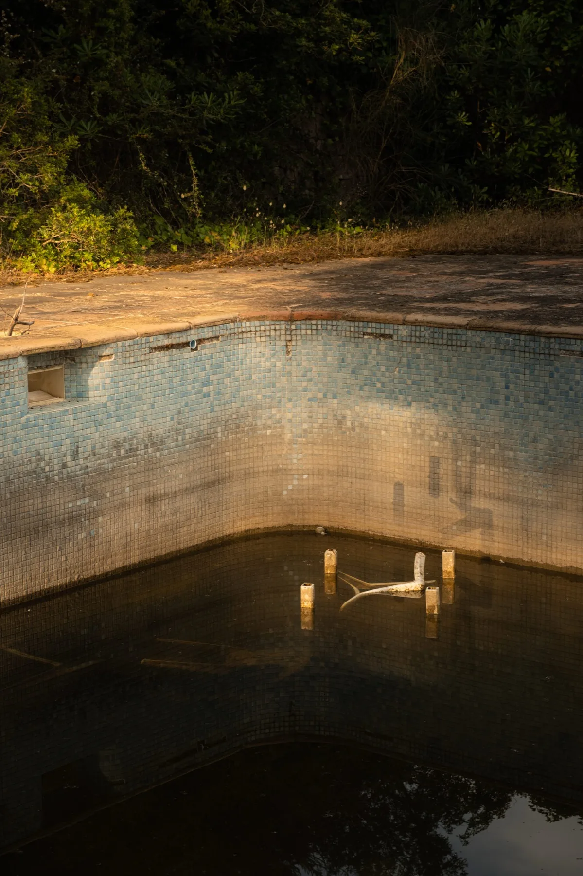 Still pool water reflecting the garden