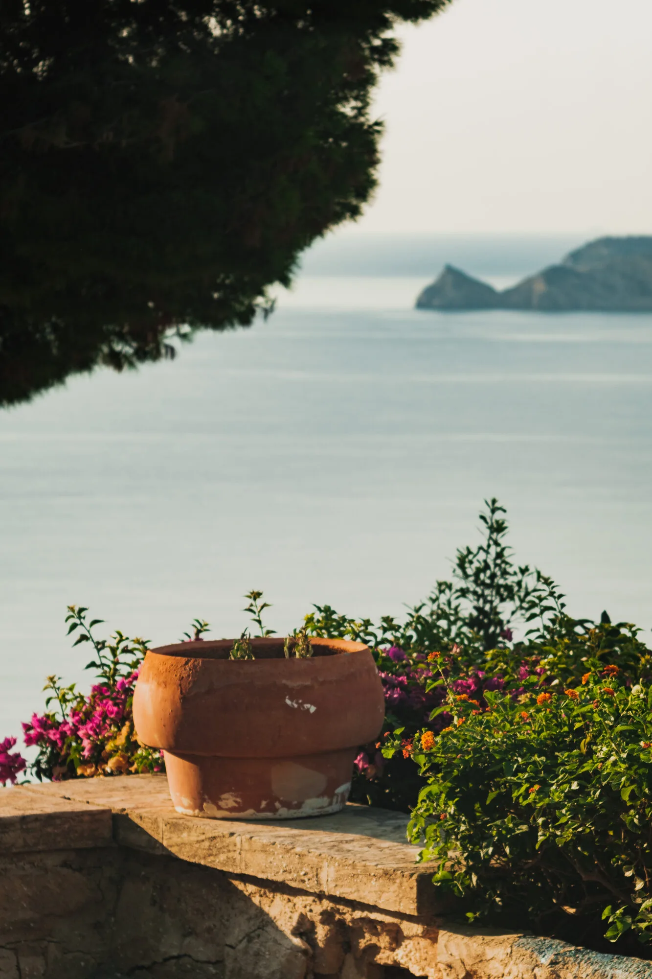 Terracotta pot with sea view